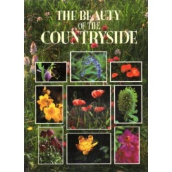 The beauty of the...
