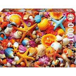 Puzzle: Collage de conchas...