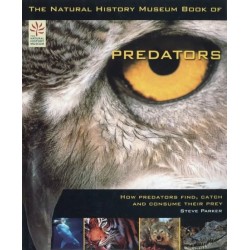 The natural history musseum...