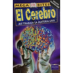 El cerebro: así trabaja la...