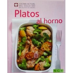 Cocina actual del siglo XXI...