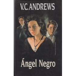 Saga Casteel 2: Ángel negro...